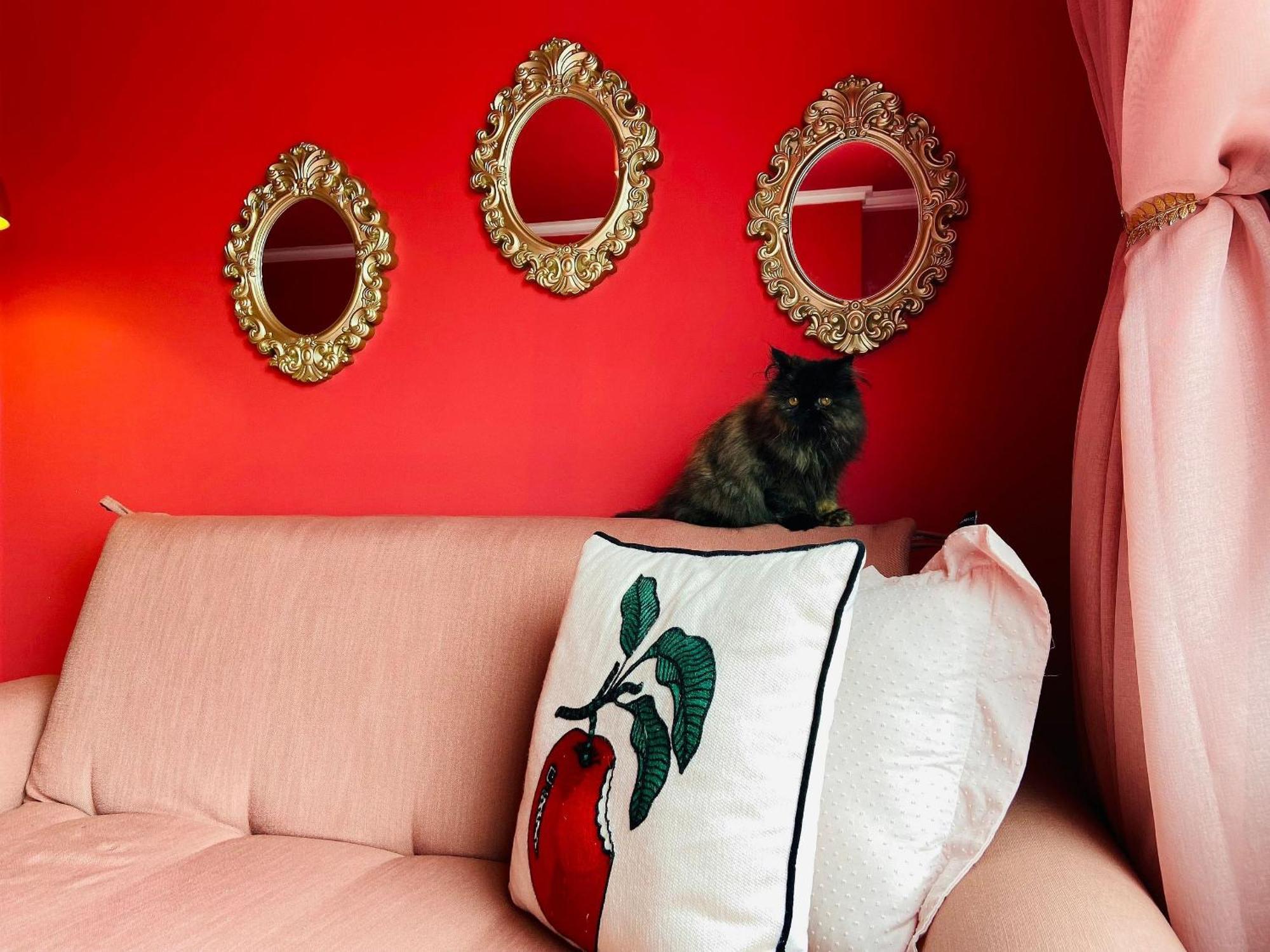 O Apartamento Rosa João Pessoa Exterior foto